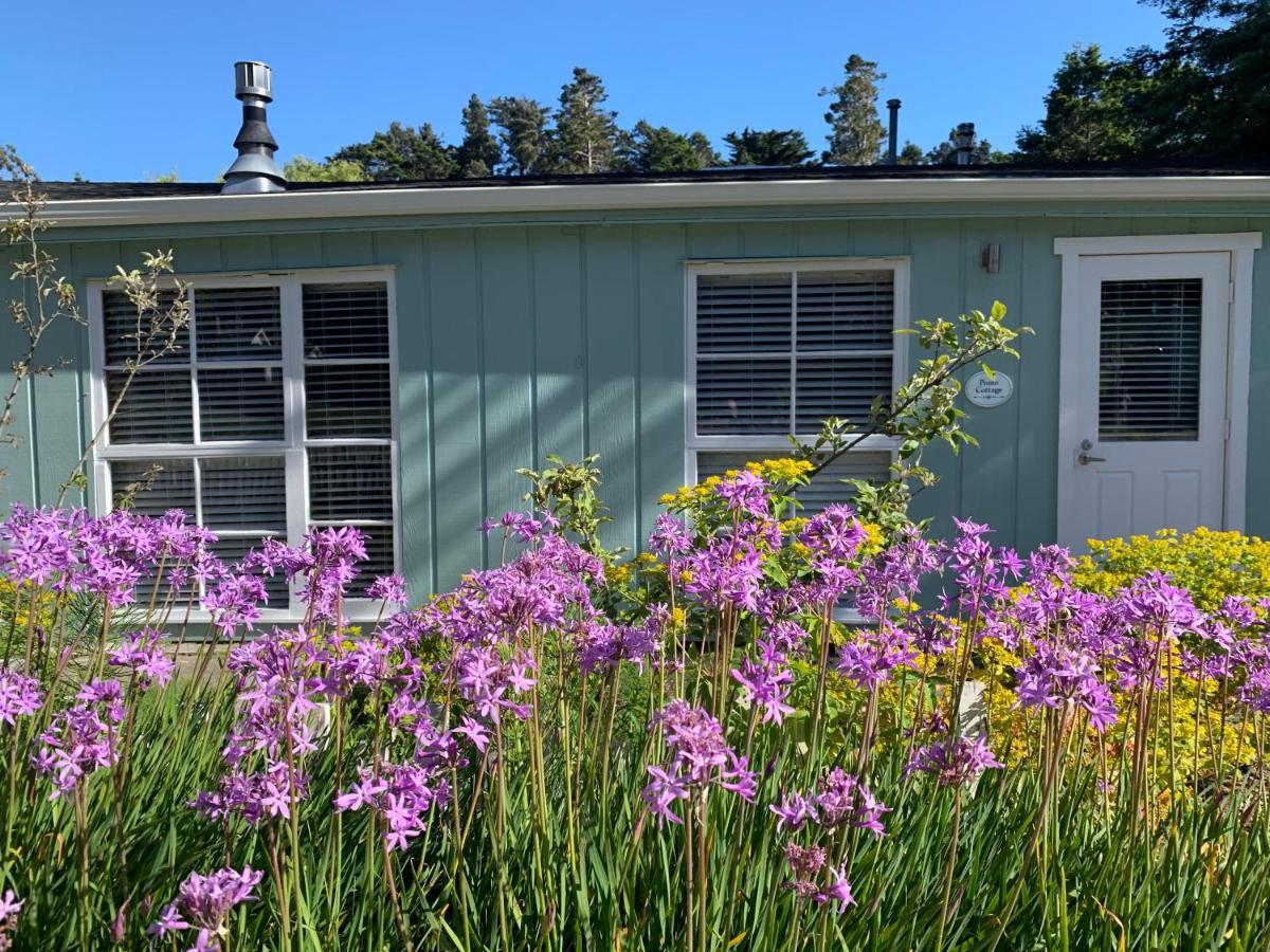 Inn At Schoolhouse Creek Little River Exterior photo